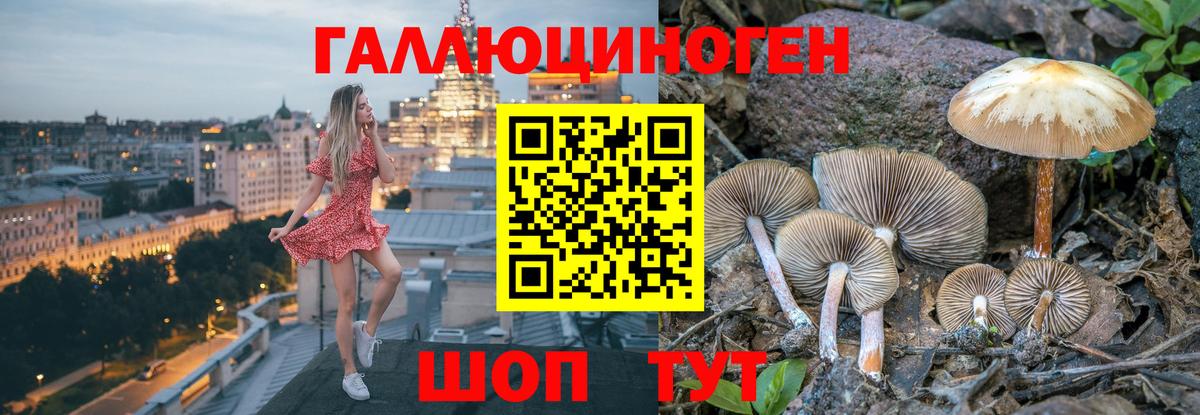 Галлюциногенные грибы прущие грибы  Вход с VPN  Алексин 